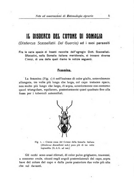 L'agricoltura coloniale organo dell'Istituto agricolo coloniale italiano e dell'Ufficio agrario sperimentale dell'Eritrea