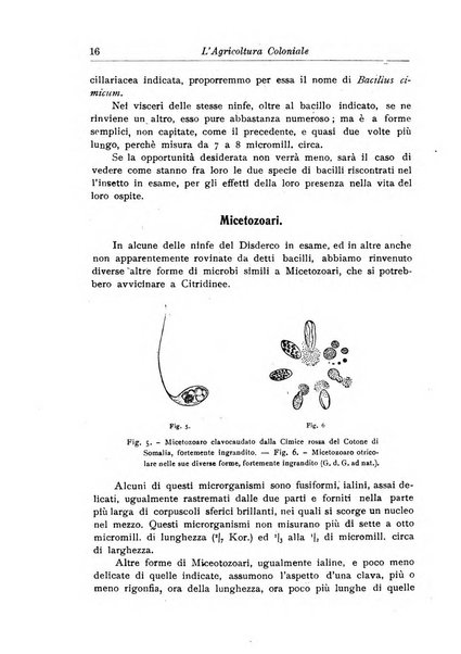 L'agricoltura coloniale organo dell'Istituto agricolo coloniale italiano e dell'Ufficio agrario sperimentale dell'Eritrea