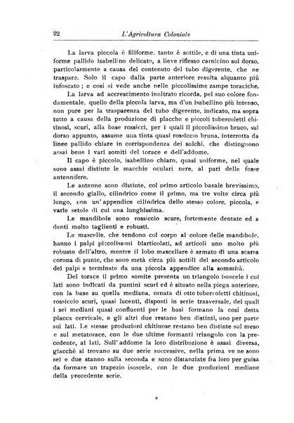 L'agricoltura coloniale organo dell'Istituto agricolo coloniale italiano e dell'Ufficio agrario sperimentale dell'Eritrea