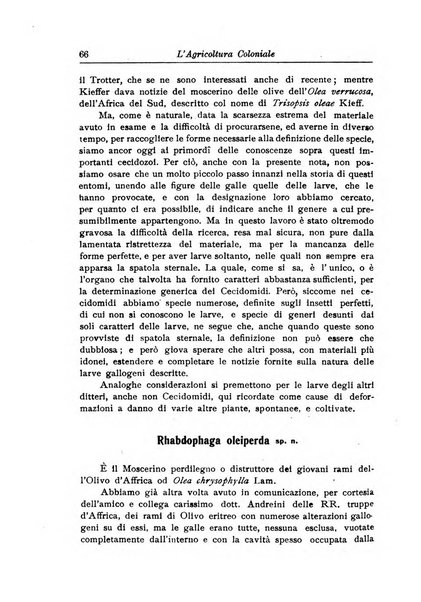 L'agricoltura coloniale organo dell'Istituto agricolo coloniale italiano e dell'Ufficio agrario sperimentale dell'Eritrea