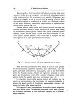 giornale/TO00199161/1918/unico/00000090