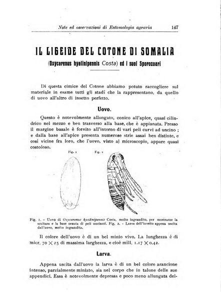 L'agricoltura coloniale organo dell'Istituto agricolo coloniale italiano e dell'Ufficio agrario sperimentale dell'Eritrea