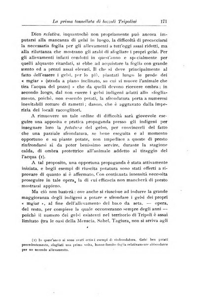 L'agricoltura coloniale organo dell'Istituto agricolo coloniale italiano e dell'Ufficio agrario sperimentale dell'Eritrea