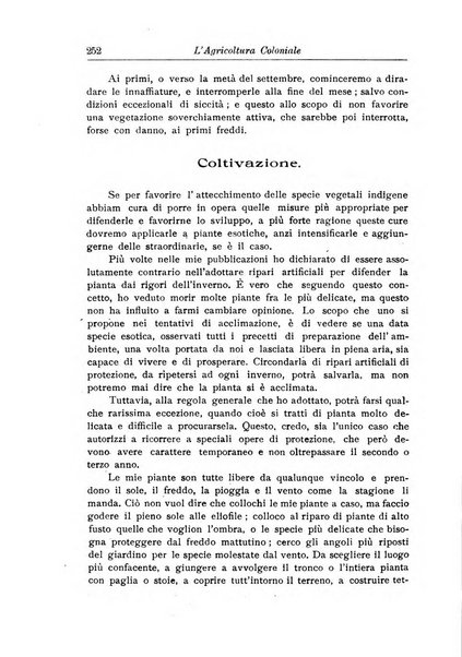 L'agricoltura coloniale organo dell'Istituto agricolo coloniale italiano e dell'Ufficio agrario sperimentale dell'Eritrea