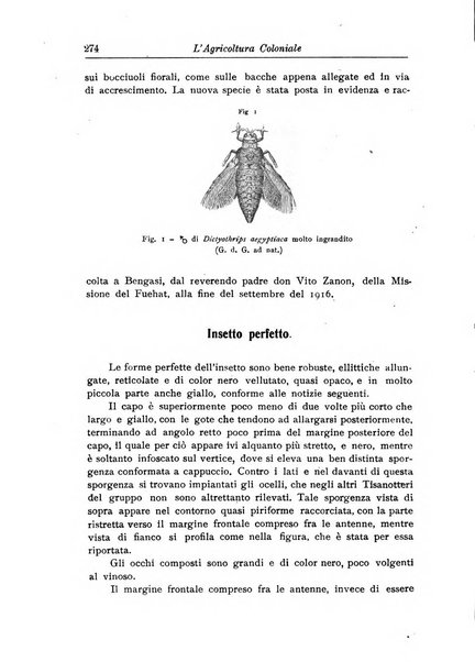 L'agricoltura coloniale organo dell'Istituto agricolo coloniale italiano e dell'Ufficio agrario sperimentale dell'Eritrea