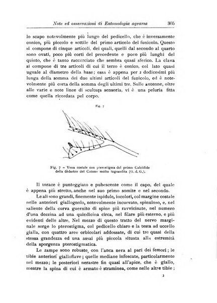 L'agricoltura coloniale organo dell'Istituto agricolo coloniale italiano e dell'Ufficio agrario sperimentale dell'Eritrea