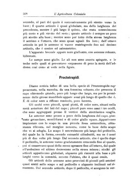 L'agricoltura coloniale organo dell'Istituto agricolo coloniale italiano e dell'Ufficio agrario sperimentale dell'Eritrea