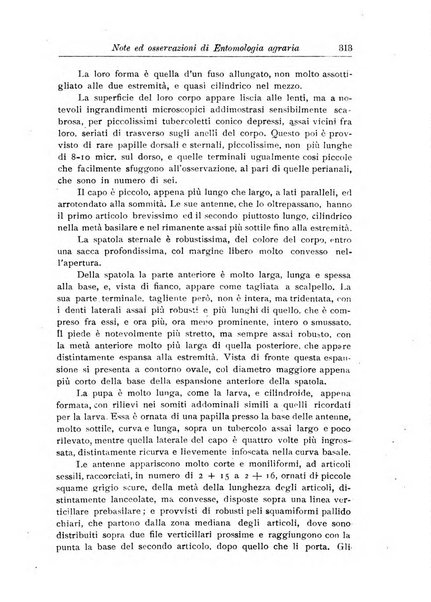 L'agricoltura coloniale organo dell'Istituto agricolo coloniale italiano e dell'Ufficio agrario sperimentale dell'Eritrea