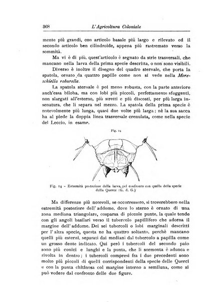 L'agricoltura coloniale organo dell'Istituto agricolo coloniale italiano e dell'Ufficio agrario sperimentale dell'Eritrea