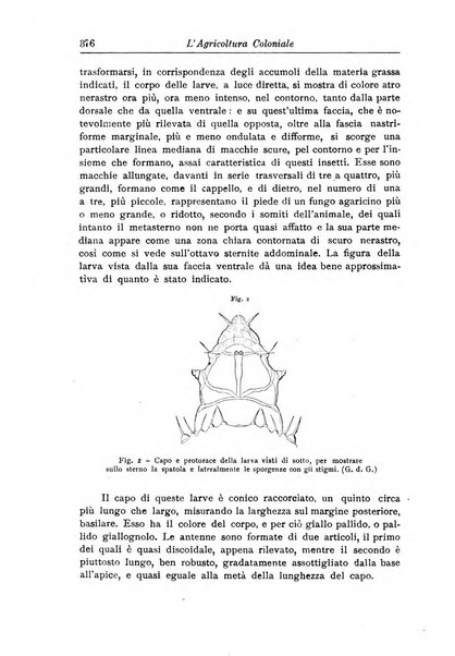 L'agricoltura coloniale organo dell'Istituto agricolo coloniale italiano e dell'Ufficio agrario sperimentale dell'Eritrea