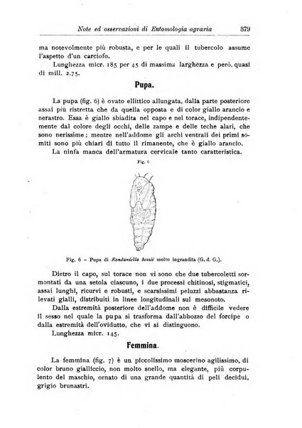 L'agricoltura coloniale organo dell'Istituto agricolo coloniale italiano e dell'Ufficio agrario sperimentale dell'Eritrea