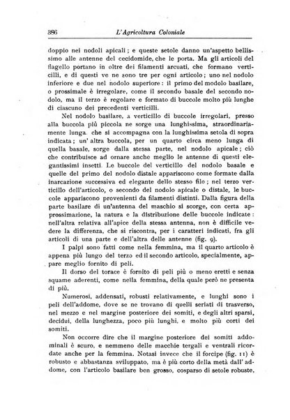 L'agricoltura coloniale organo dell'Istituto agricolo coloniale italiano e dell'Ufficio agrario sperimentale dell'Eritrea