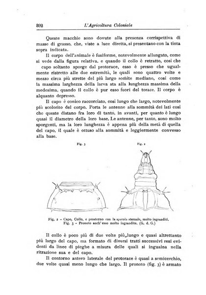 L'agricoltura coloniale organo dell'Istituto agricolo coloniale italiano e dell'Ufficio agrario sperimentale dell'Eritrea