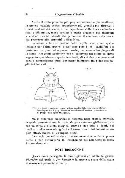 L'agricoltura coloniale organo dell'Istituto agricolo coloniale italiano e dell'Ufficio agrario sperimentale dell'Eritrea