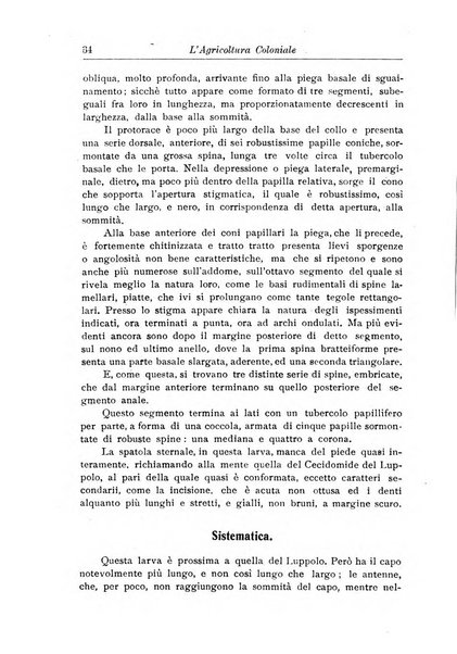 L'agricoltura coloniale organo dell'Istituto agricolo coloniale italiano e dell'Ufficio agrario sperimentale dell'Eritrea