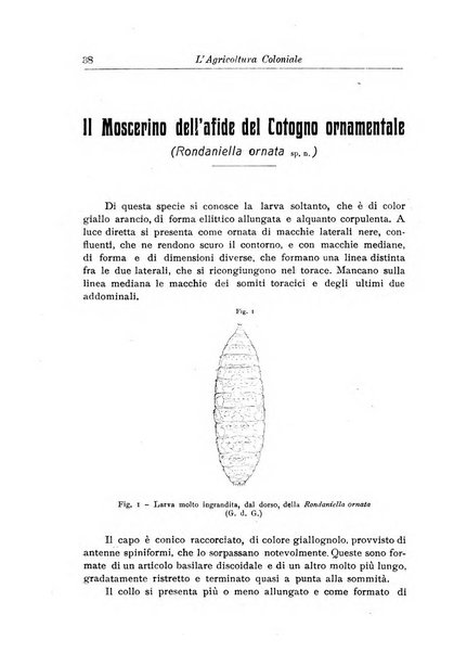 L'agricoltura coloniale organo dell'Istituto agricolo coloniale italiano e dell'Ufficio agrario sperimentale dell'Eritrea