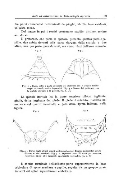 L'agricoltura coloniale organo dell'Istituto agricolo coloniale italiano e dell'Ufficio agrario sperimentale dell'Eritrea