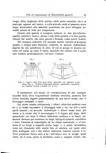 L'agricoltura coloniale organo dell'Istituto agricolo coloniale italiano e dell'Ufficio agrario sperimentale dell'Eritrea