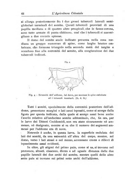 L'agricoltura coloniale organo dell'Istituto agricolo coloniale italiano e dell'Ufficio agrario sperimentale dell'Eritrea