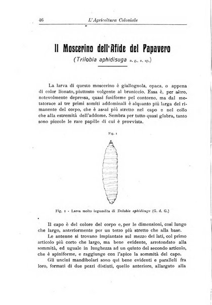 L'agricoltura coloniale organo dell'Istituto agricolo coloniale italiano e dell'Ufficio agrario sperimentale dell'Eritrea