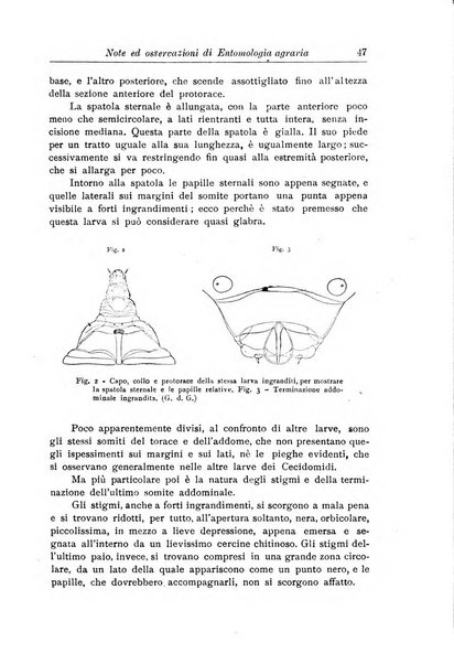 L'agricoltura coloniale organo dell'Istituto agricolo coloniale italiano e dell'Ufficio agrario sperimentale dell'Eritrea