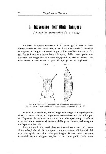 L'agricoltura coloniale organo dell'Istituto agricolo coloniale italiano e dell'Ufficio agrario sperimentale dell'Eritrea