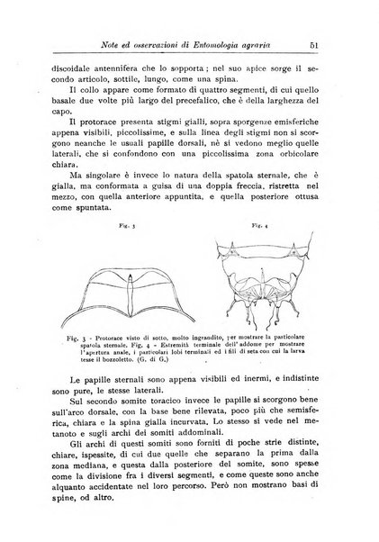 L'agricoltura coloniale organo dell'Istituto agricolo coloniale italiano e dell'Ufficio agrario sperimentale dell'Eritrea