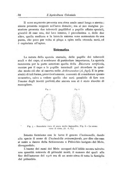 L'agricoltura coloniale organo dell'Istituto agricolo coloniale italiano e dell'Ufficio agrario sperimentale dell'Eritrea