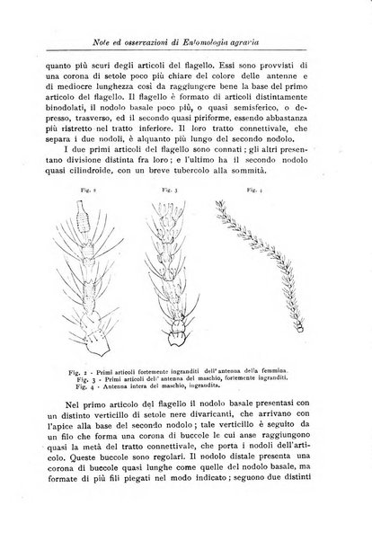 L'agricoltura coloniale organo dell'Istituto agricolo coloniale italiano e dell'Ufficio agrario sperimentale dell'Eritrea