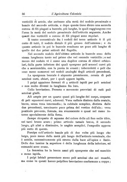 L'agricoltura coloniale organo dell'Istituto agricolo coloniale italiano e dell'Ufficio agrario sperimentale dell'Eritrea