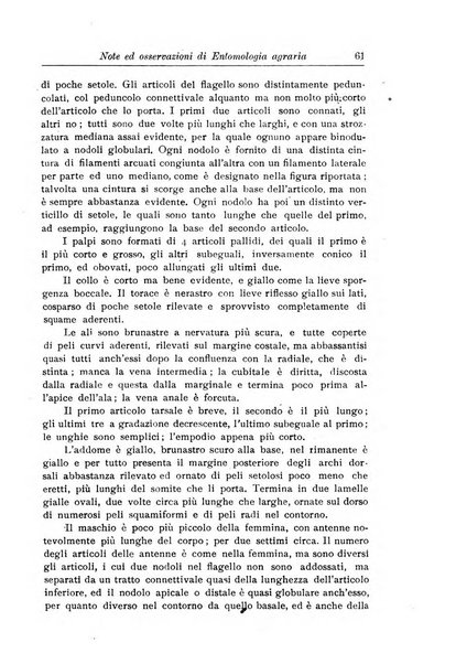 L'agricoltura coloniale organo dell'Istituto agricolo coloniale italiano e dell'Ufficio agrario sperimentale dell'Eritrea