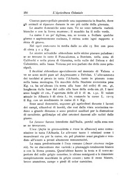 L'agricoltura coloniale organo dell'Istituto agricolo coloniale italiano e dell'Ufficio agrario sperimentale dell'Eritrea