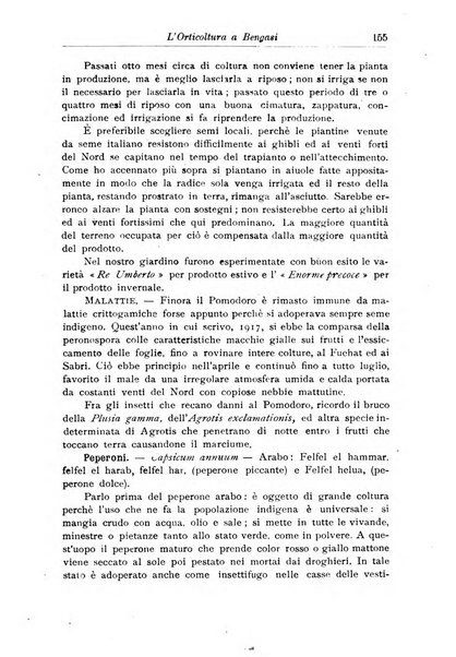 L'agricoltura coloniale organo dell'Istituto agricolo coloniale italiano e dell'Ufficio agrario sperimentale dell'Eritrea