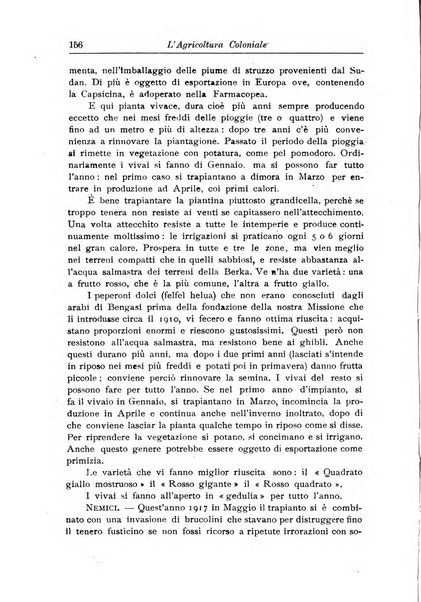 L'agricoltura coloniale organo dell'Istituto agricolo coloniale italiano e dell'Ufficio agrario sperimentale dell'Eritrea