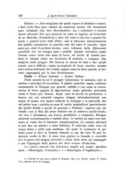 L'agricoltura coloniale organo dell'Istituto agricolo coloniale italiano e dell'Ufficio agrario sperimentale dell'Eritrea