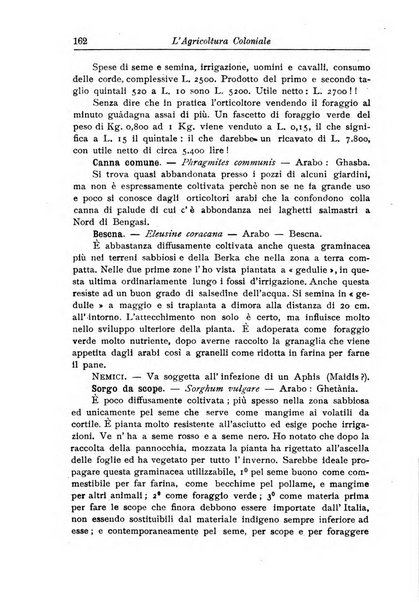 L'agricoltura coloniale organo dell'Istituto agricolo coloniale italiano e dell'Ufficio agrario sperimentale dell'Eritrea