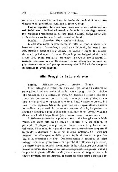 L'agricoltura coloniale organo dell'Istituto agricolo coloniale italiano e dell'Ufficio agrario sperimentale dell'Eritrea