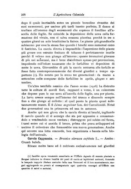 L'agricoltura coloniale organo dell'Istituto agricolo coloniale italiano e dell'Ufficio agrario sperimentale dell'Eritrea