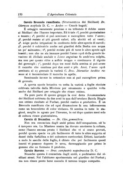 L'agricoltura coloniale organo dell'Istituto agricolo coloniale italiano e dell'Ufficio agrario sperimentale dell'Eritrea