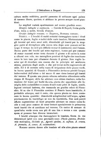 L'agricoltura coloniale organo dell'Istituto agricolo coloniale italiano e dell'Ufficio agrario sperimentale dell'Eritrea