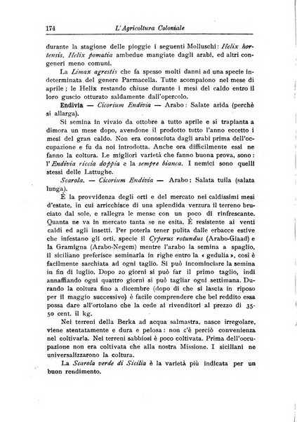 L'agricoltura coloniale organo dell'Istituto agricolo coloniale italiano e dell'Ufficio agrario sperimentale dell'Eritrea