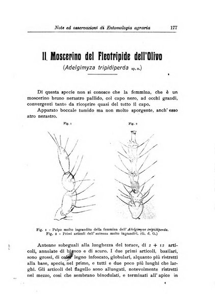 L'agricoltura coloniale organo dell'Istituto agricolo coloniale italiano e dell'Ufficio agrario sperimentale dell'Eritrea