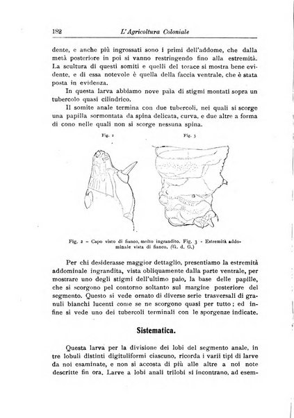 L'agricoltura coloniale organo dell'Istituto agricolo coloniale italiano e dell'Ufficio agrario sperimentale dell'Eritrea