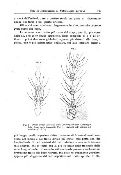 L'agricoltura coloniale organo dell'Istituto agricolo coloniale italiano e dell'Ufficio agrario sperimentale dell'Eritrea