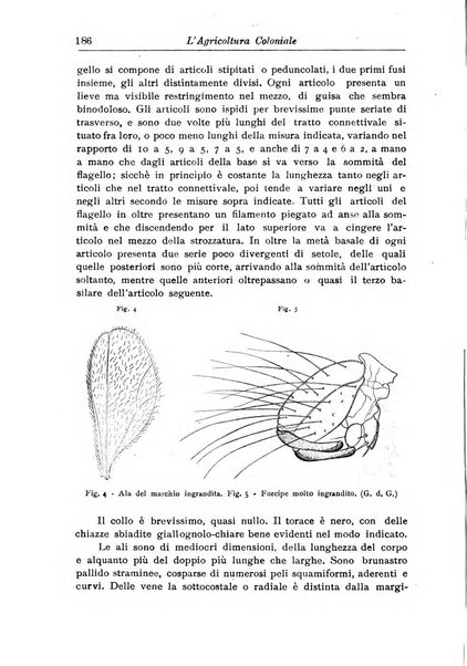 L'agricoltura coloniale organo dell'Istituto agricolo coloniale italiano e dell'Ufficio agrario sperimentale dell'Eritrea