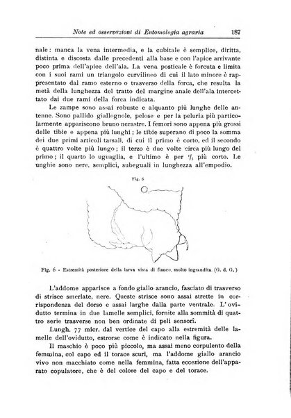 L'agricoltura coloniale organo dell'Istituto agricolo coloniale italiano e dell'Ufficio agrario sperimentale dell'Eritrea