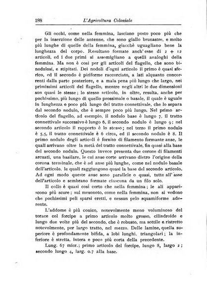 L'agricoltura coloniale organo dell'Istituto agricolo coloniale italiano e dell'Ufficio agrario sperimentale dell'Eritrea