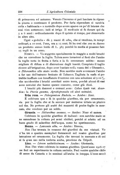 L'agricoltura coloniale organo dell'Istituto agricolo coloniale italiano e dell'Ufficio agrario sperimentale dell'Eritrea