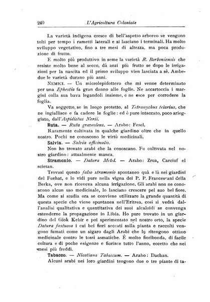 L'agricoltura coloniale organo dell'Istituto agricolo coloniale italiano e dell'Ufficio agrario sperimentale dell'Eritrea