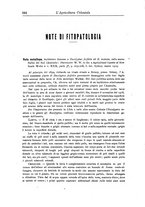 giornale/TO00199161/1919/unico/00000240